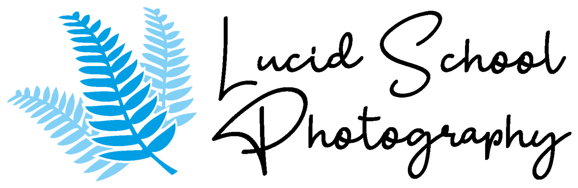 Lucid School Photography
